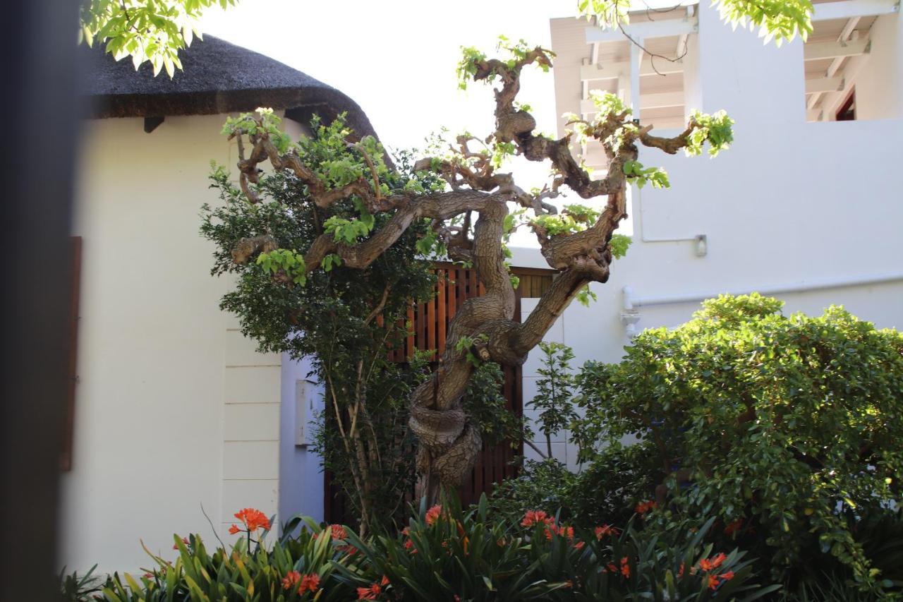 Petal'S Place Robertson Esterno foto